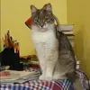 Отзыв от Клавдия Воронцова